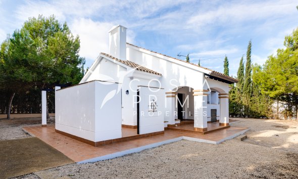 Obra nueva - Chalet / Villa - Fuente Álamo
