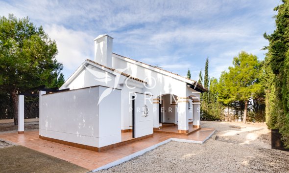 Obra nueva - Chalet / Villa - Fuente Álamo