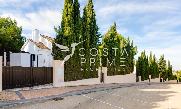 Obra nueva - Chalet / Villa - Fuente Álamo