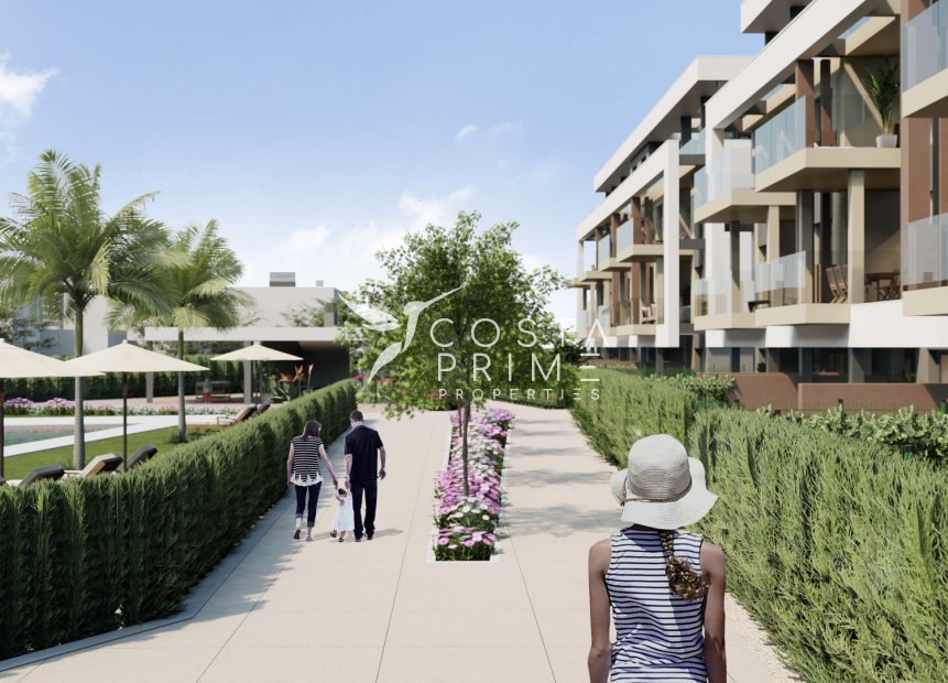 Nowy budynek - Daszek - Torre Pacheco