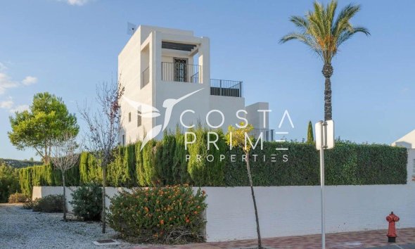 New build - Villa  - Murcia