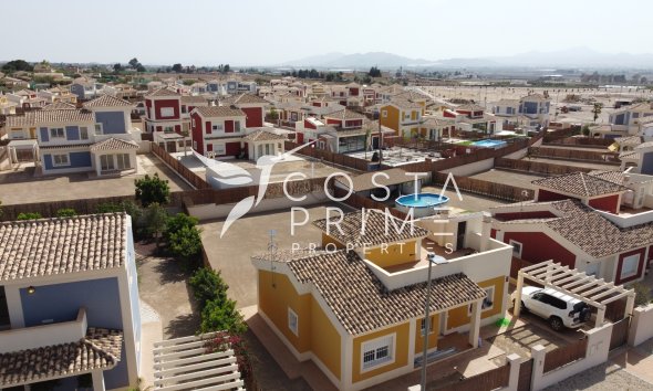 Nowy budynek - Szalet - Purias