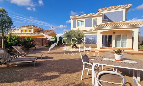 New build - Villa  - Purias