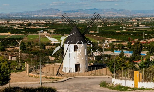 Obra nueva - Chalet / Villa - Rojales