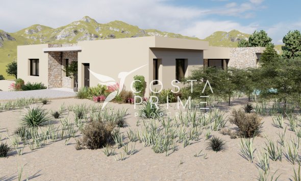 New build - Villa  - Yecla