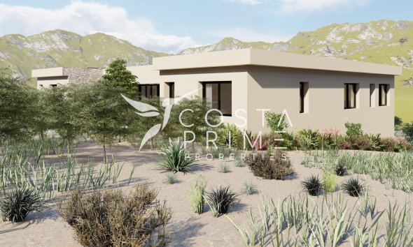 New build - Villa  - Yecla