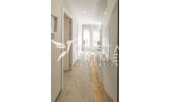 New build - Villa  - Pilar de la Horadada